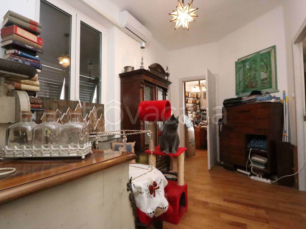 Foto4