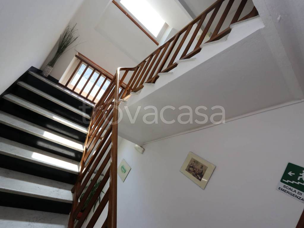 Foto12