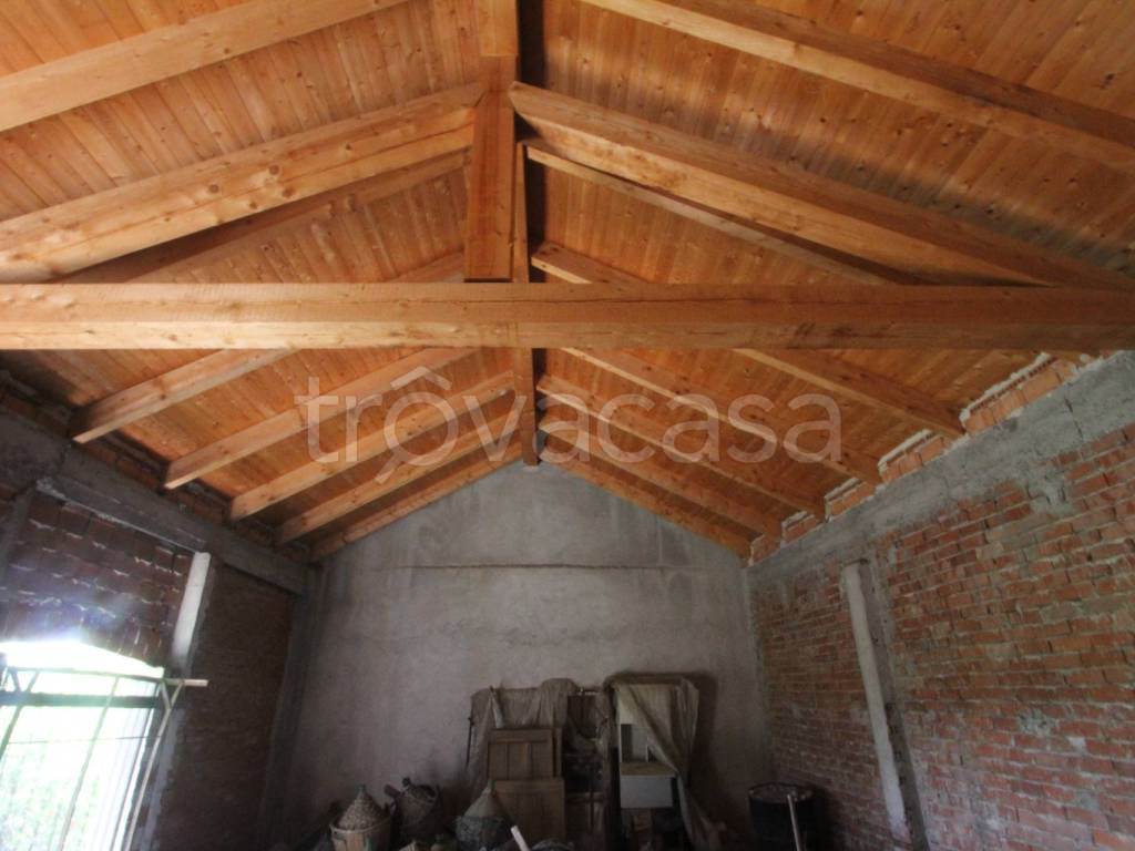 Foto12