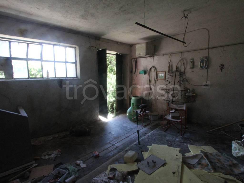 Foto15