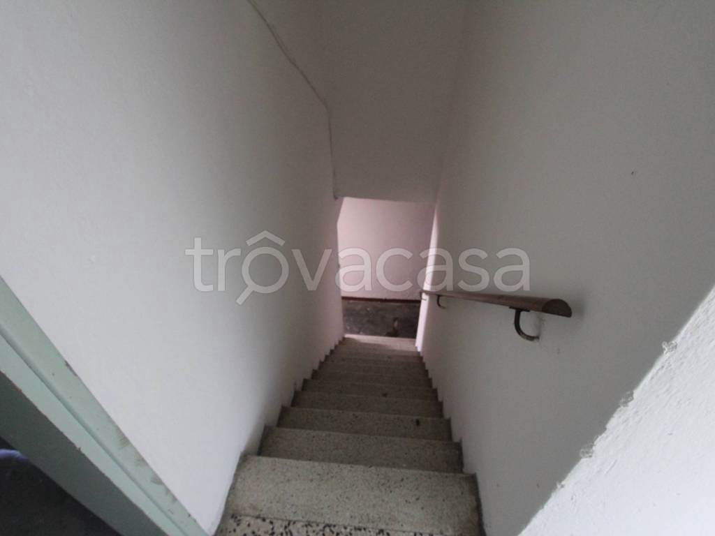 Foto16