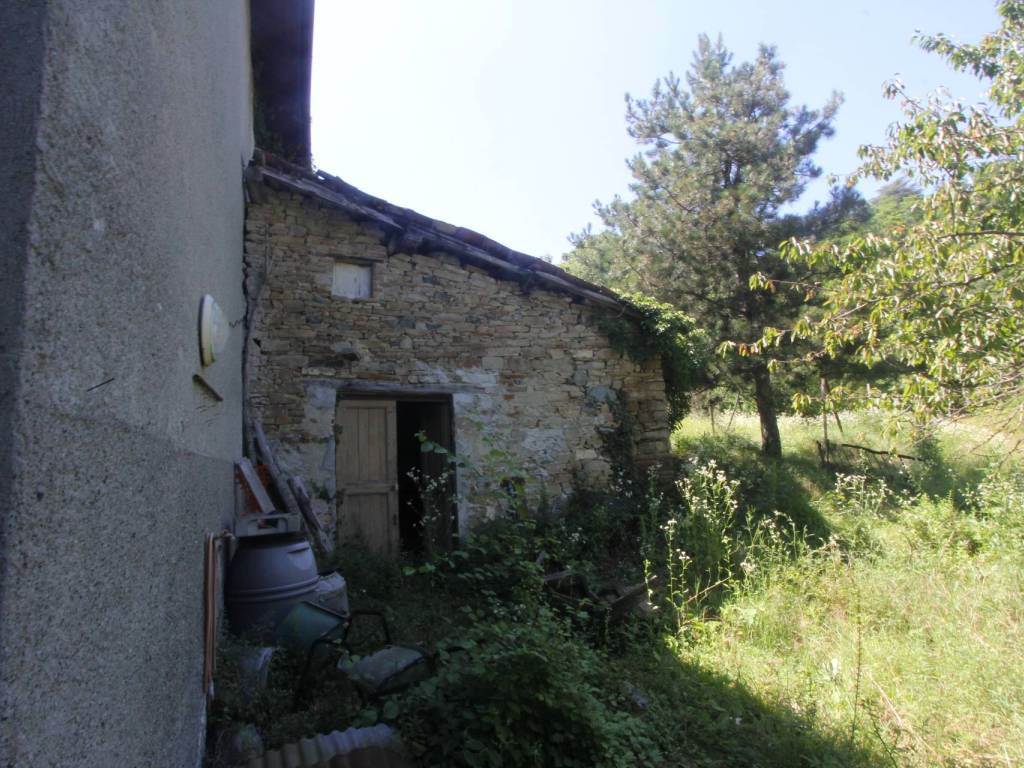 Foto20