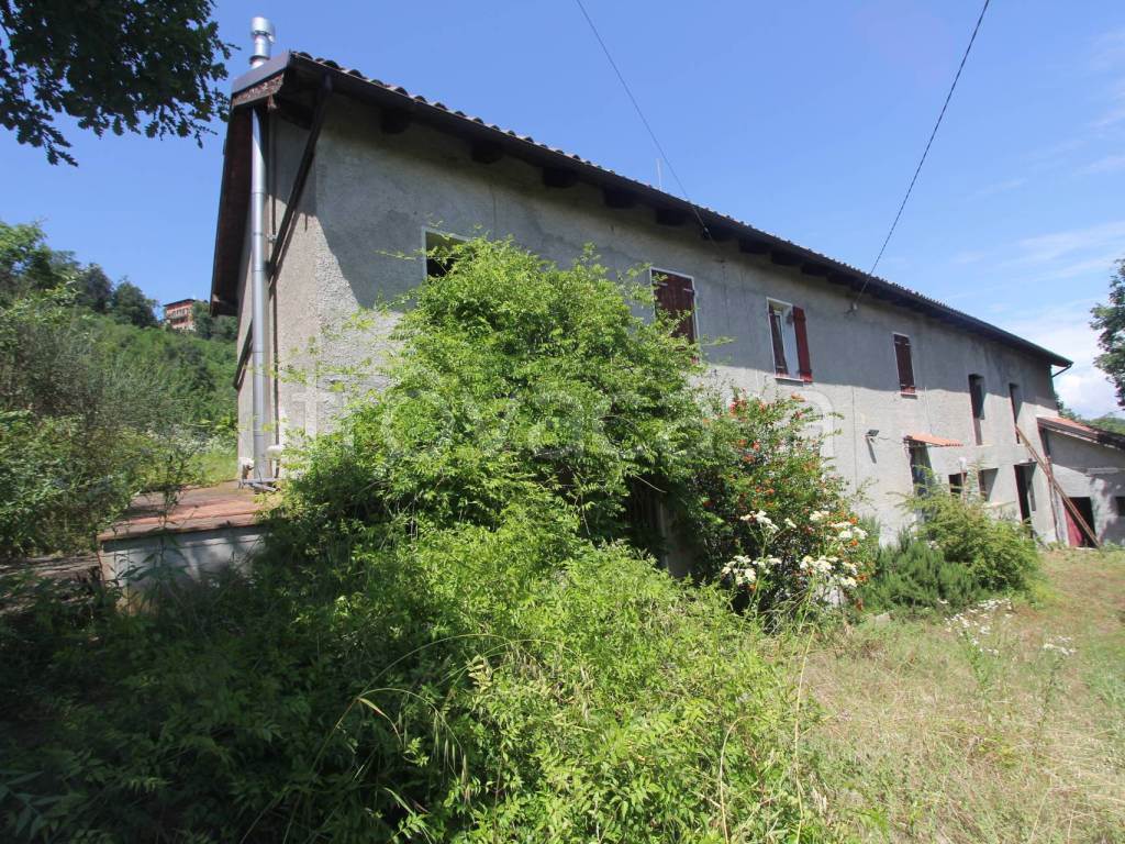 Foto3