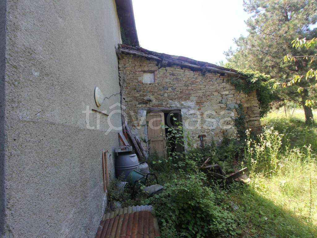 Foto4