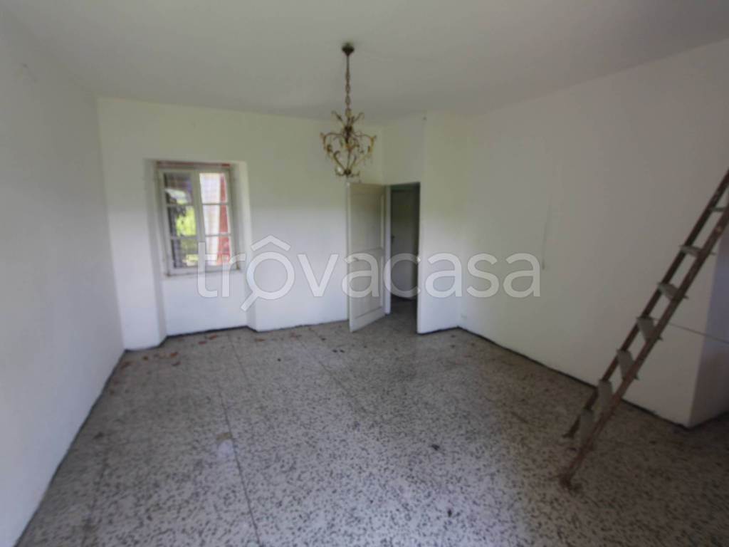 Foto5