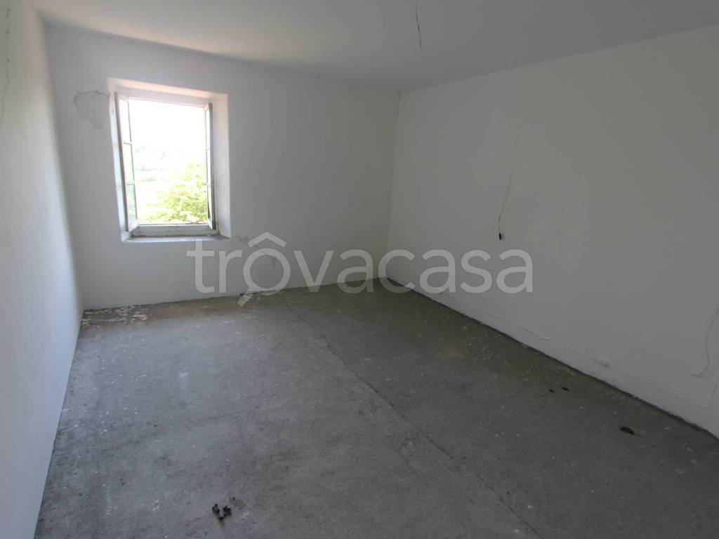 Foto8