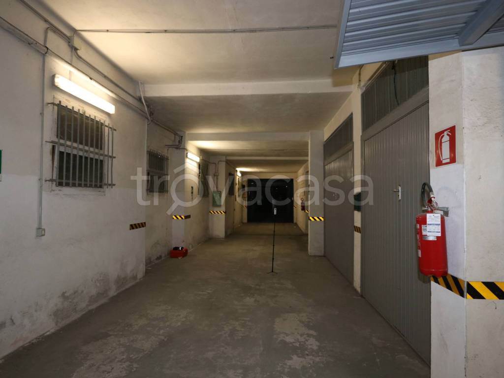 Foto8