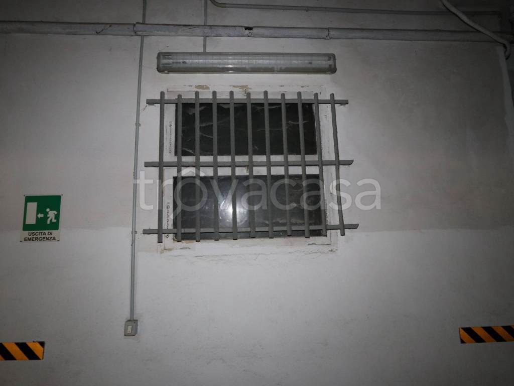 Foto9