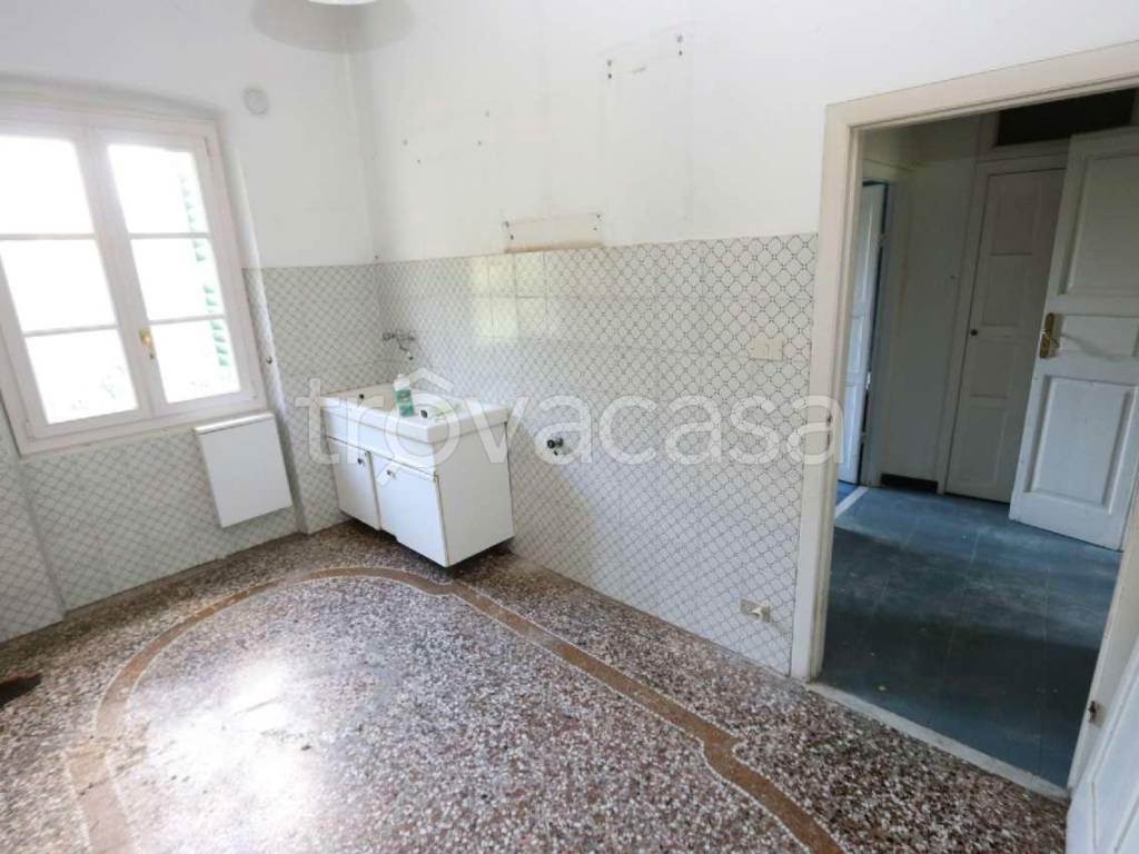 Foto7