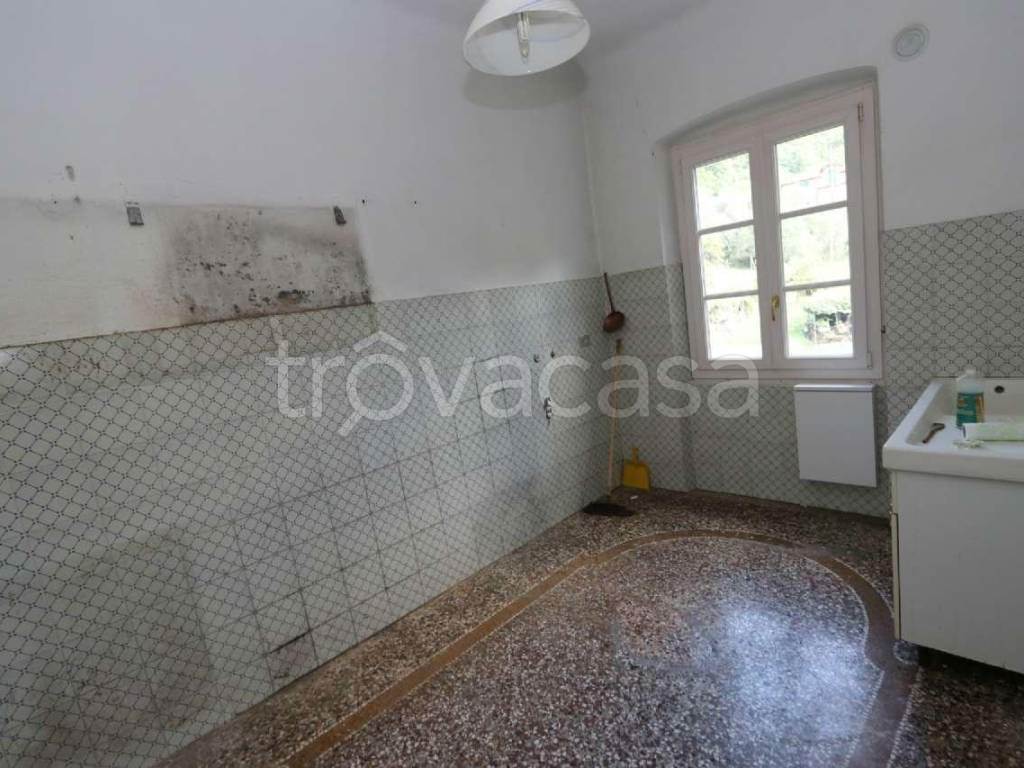 Foto6