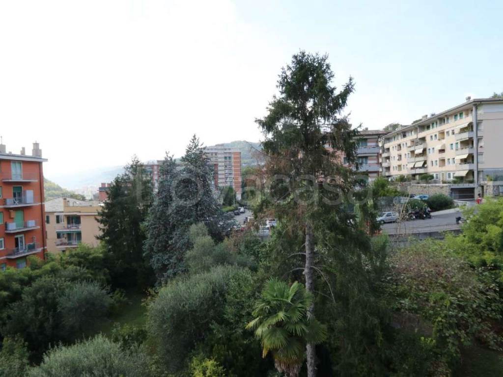 Foto17