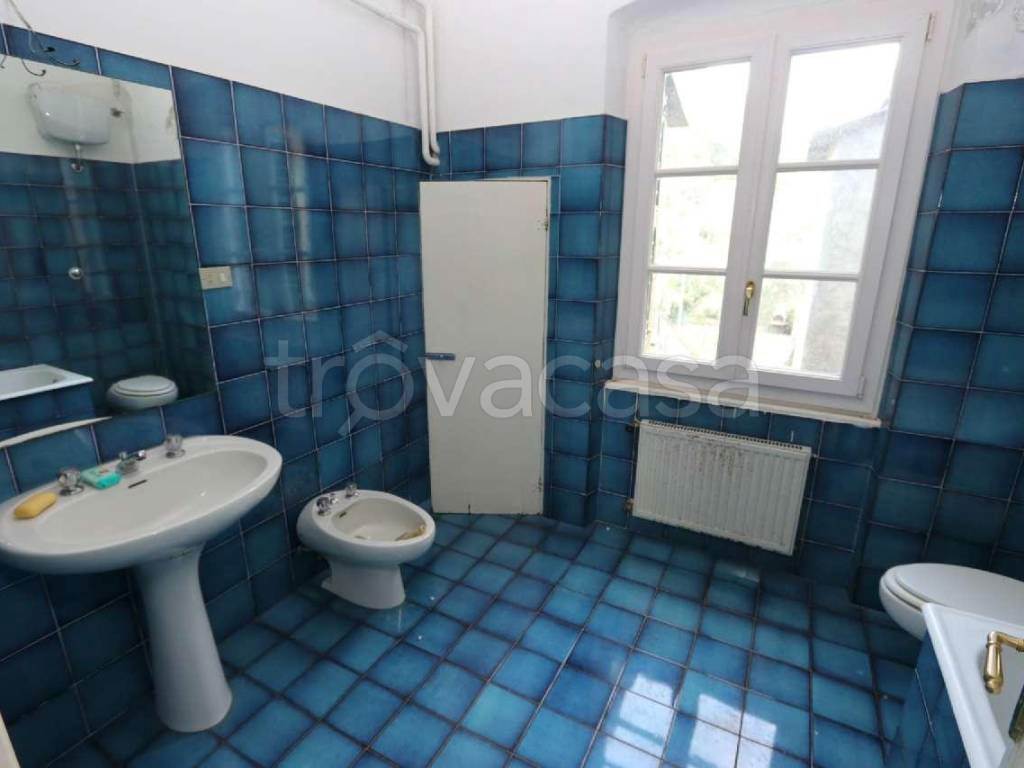 Foto15