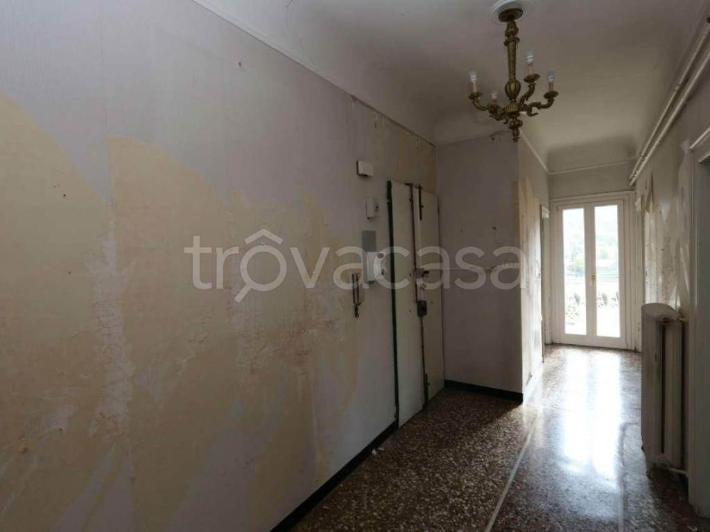 Foto11