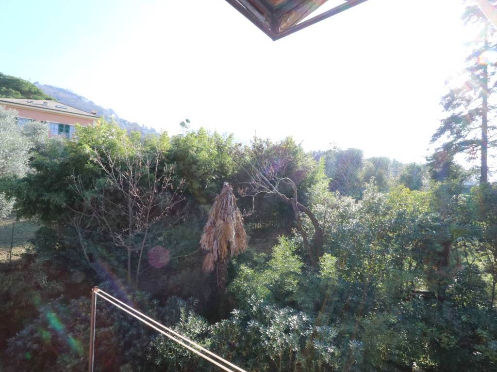 Foto24