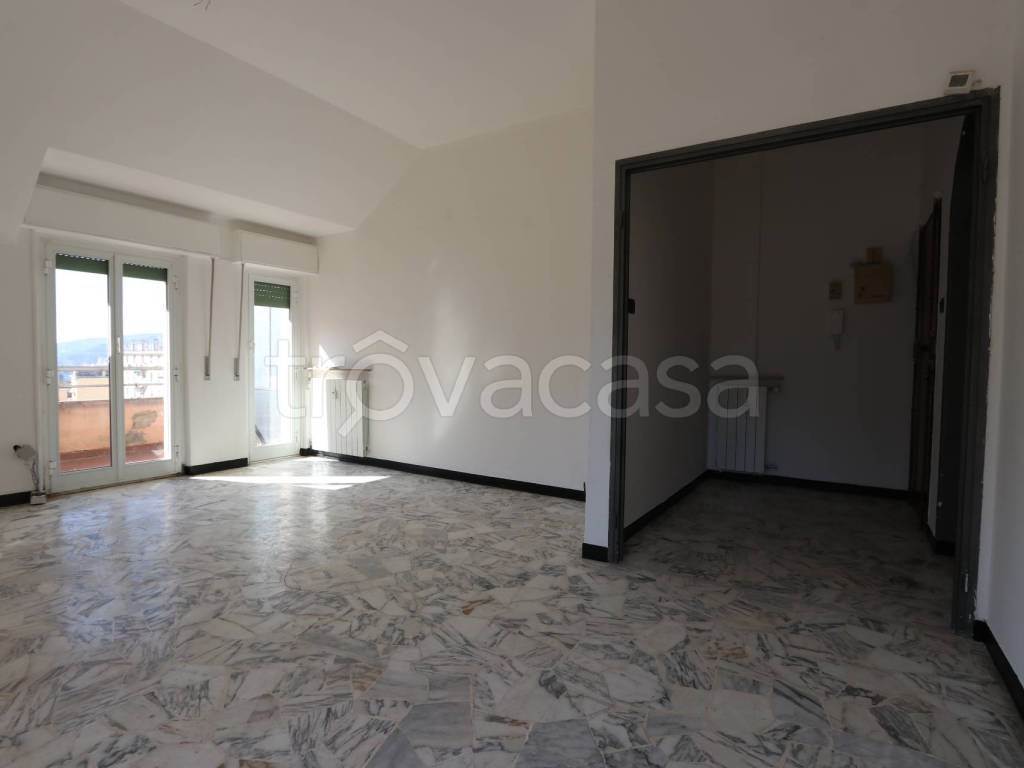 Foto11