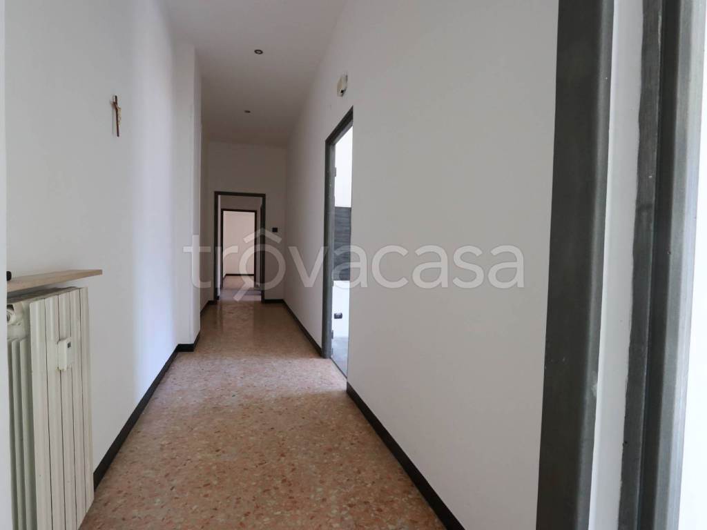 Foto13