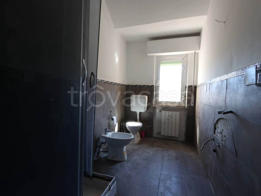 Foto19