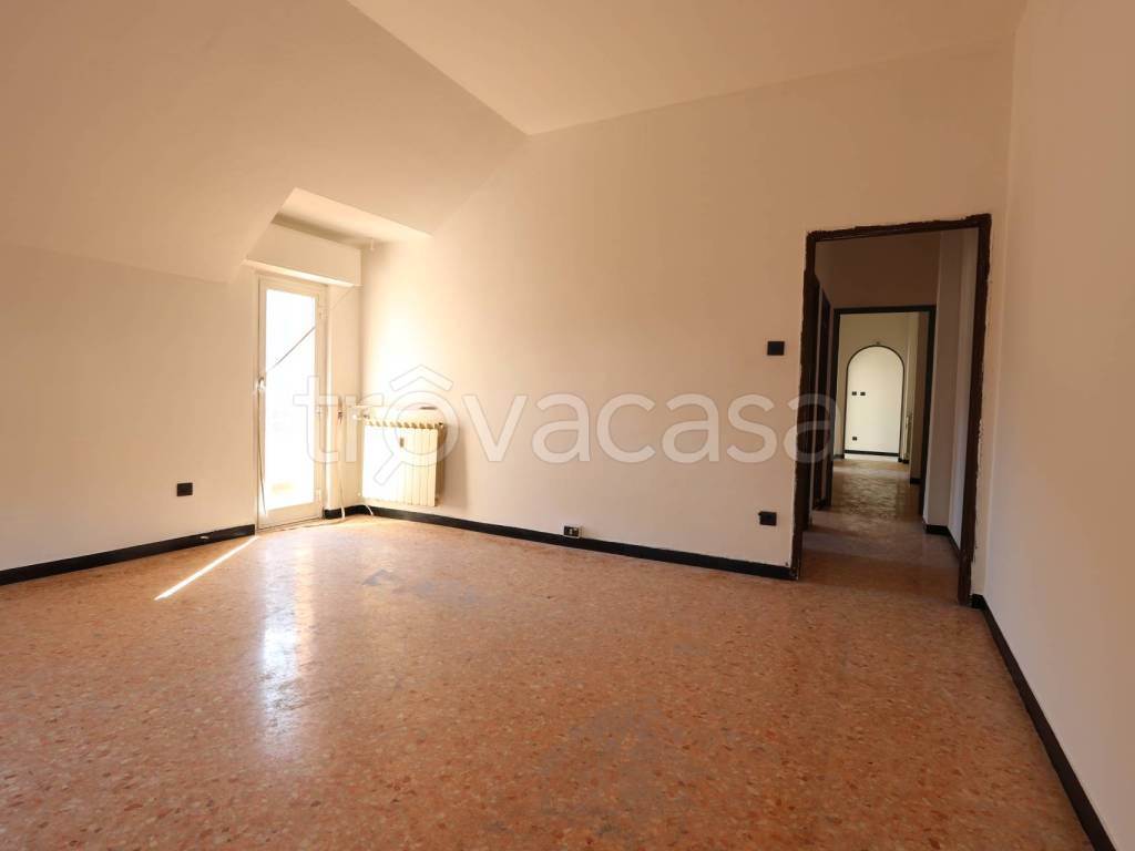 Foto5