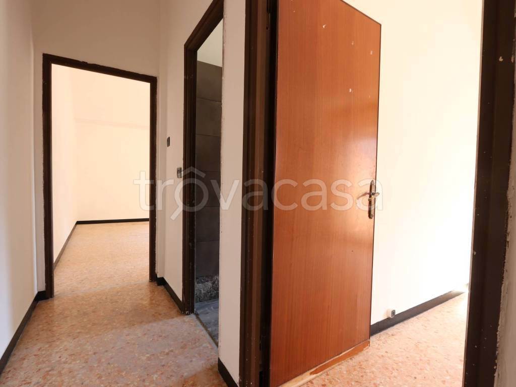 Foto8