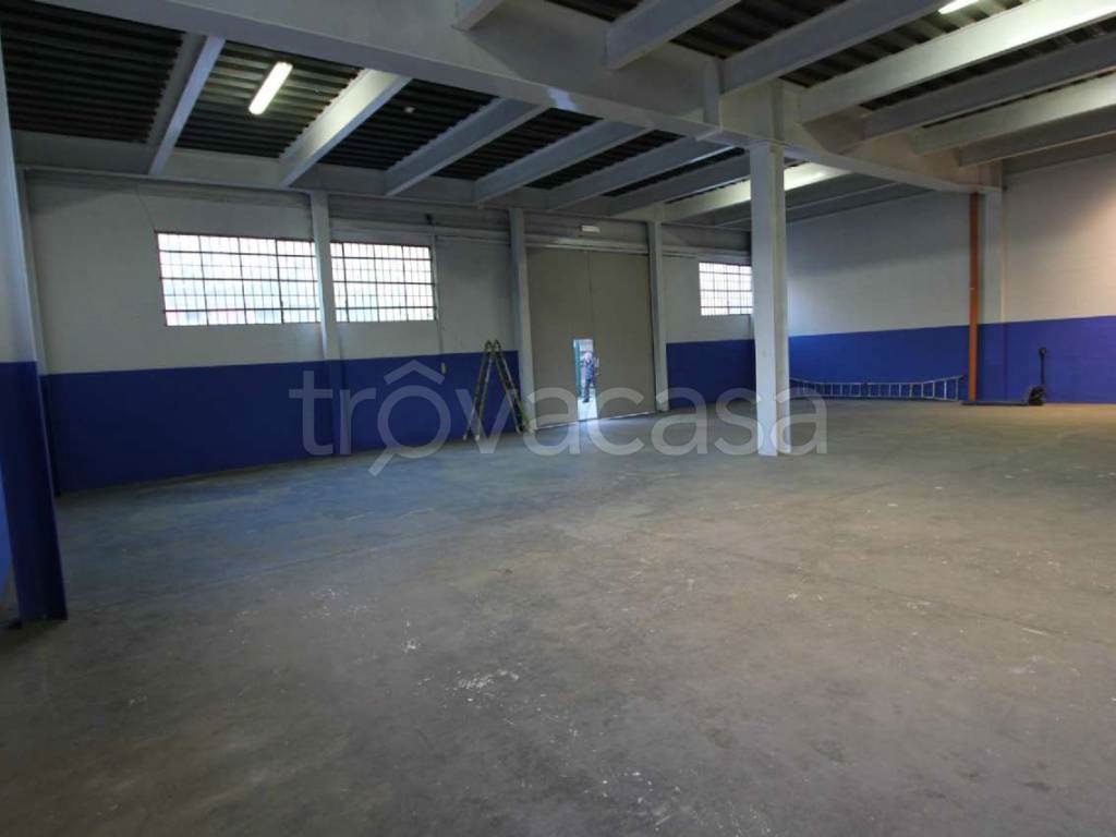 Foto6
