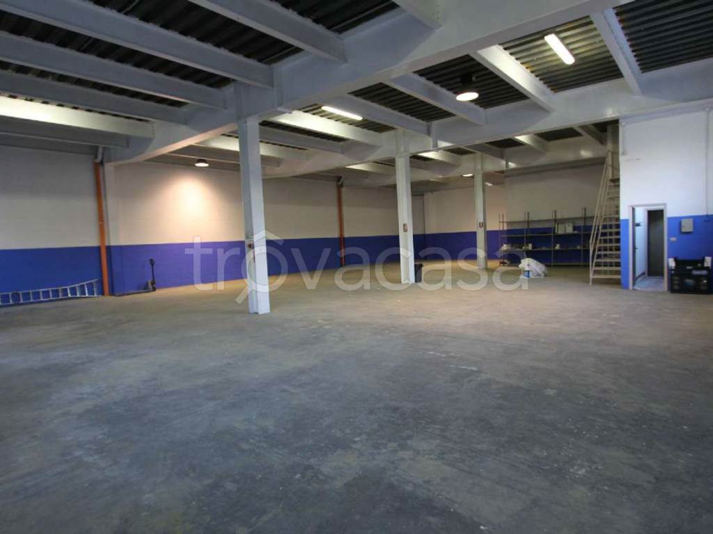 Foto5