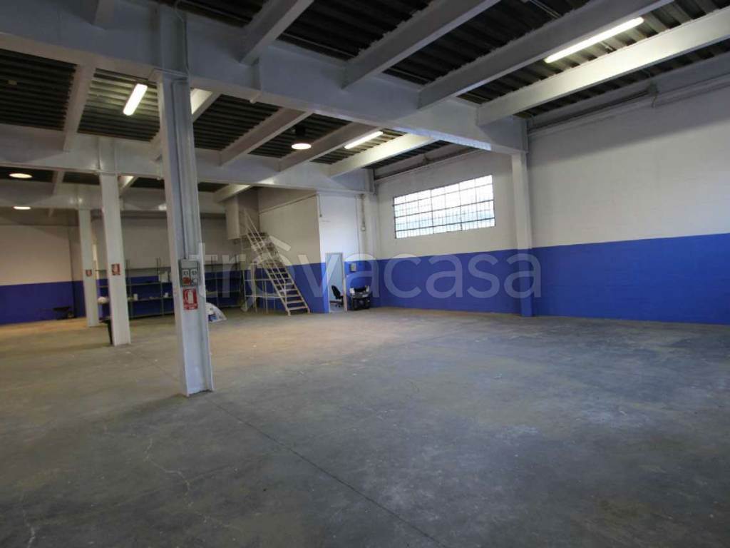Foto4