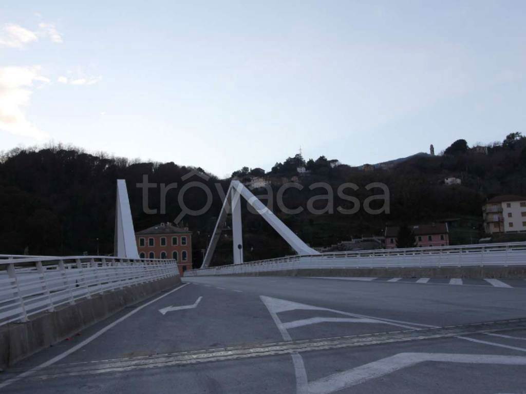 Foto18