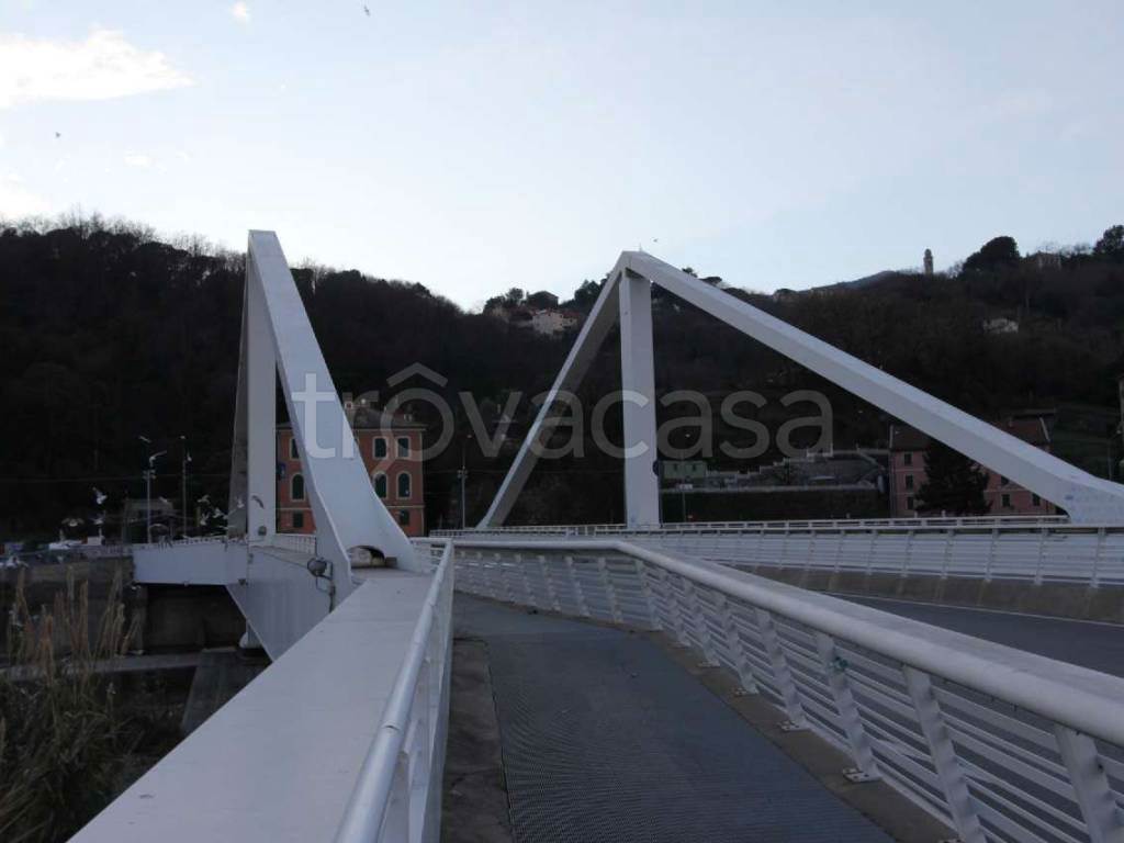 Foto17