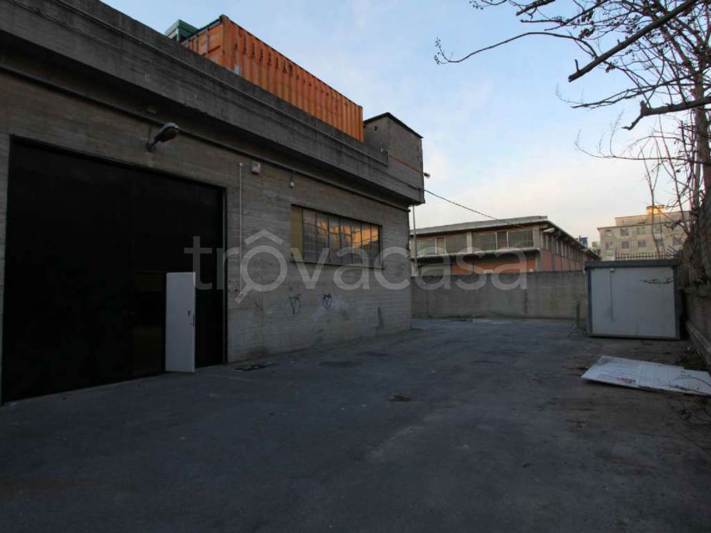 Foto16