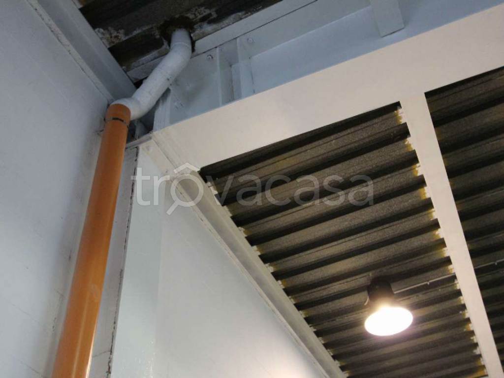 Foto13