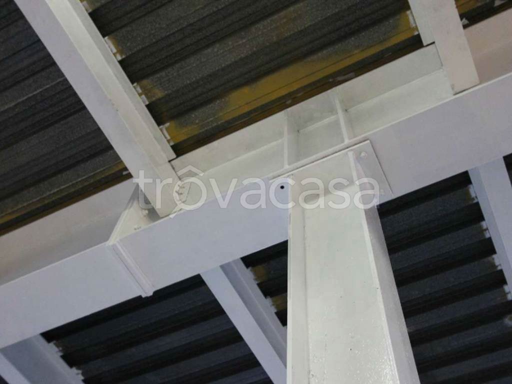 Foto12