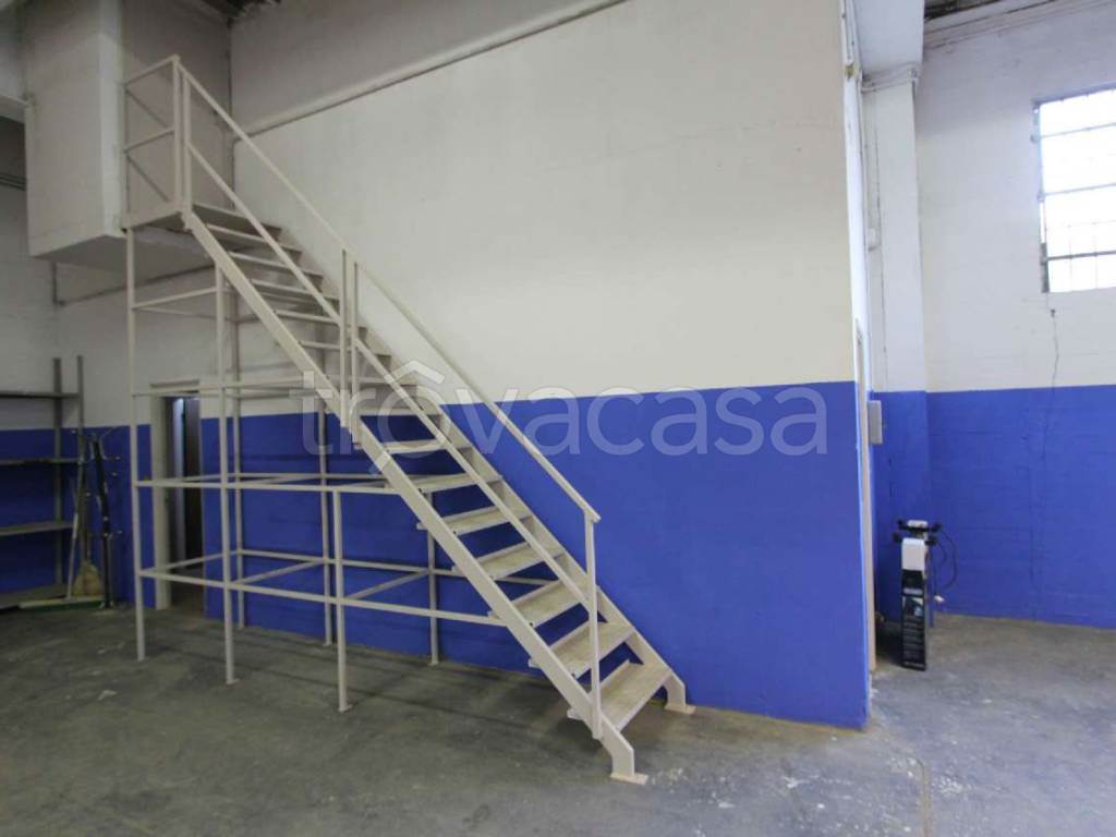 Foto11