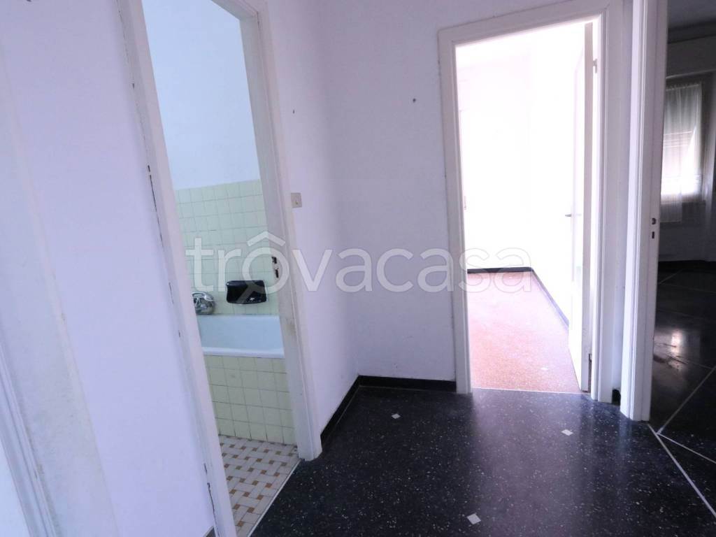 Foto15