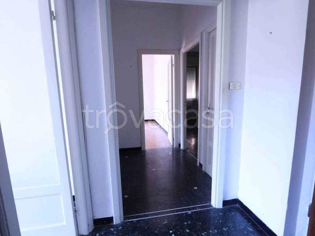 Foto14
