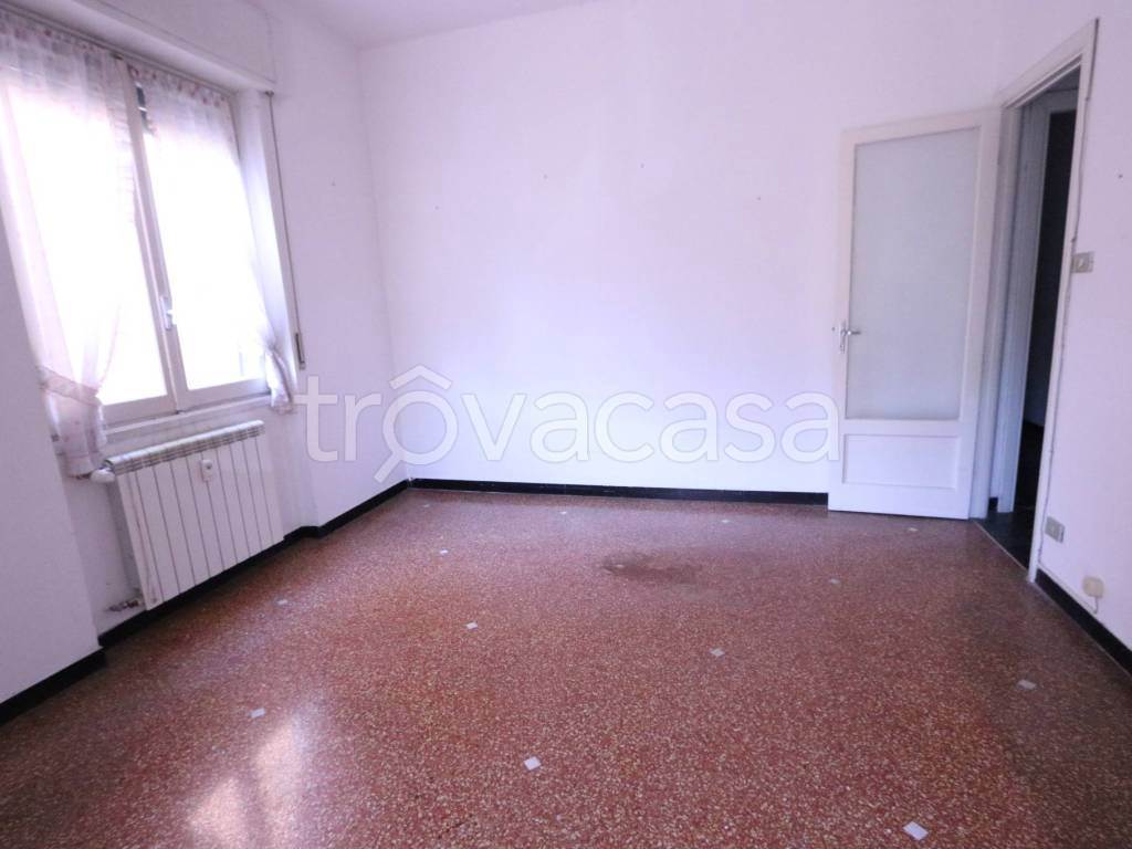 Foto3