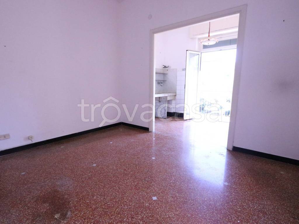 Foto5