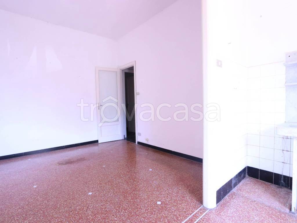 Foto6