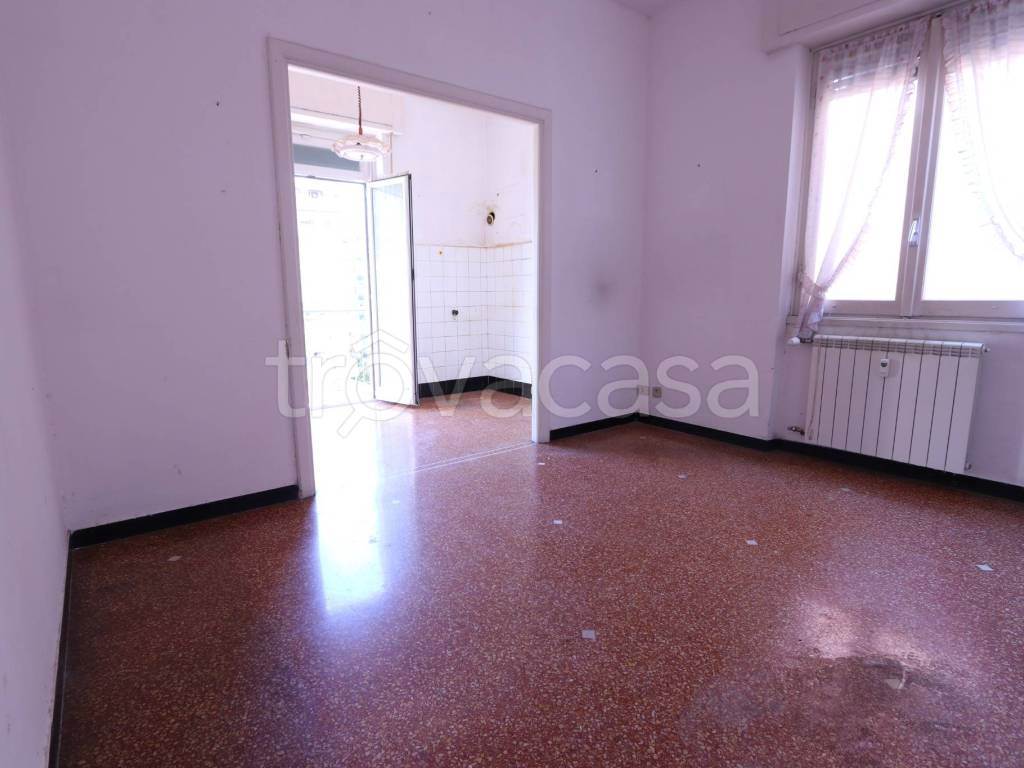Foto7