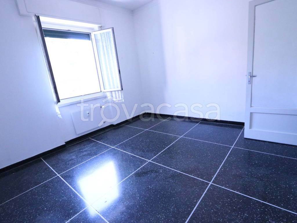 Foto11