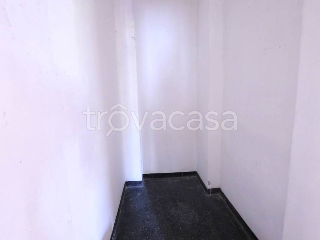 Foto13