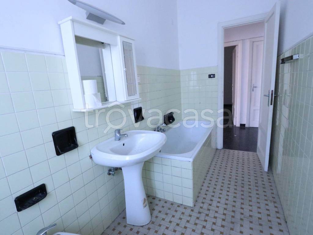 Foto19