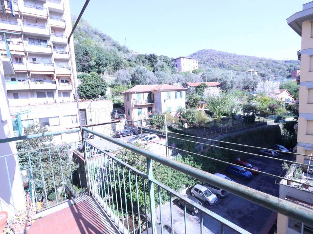 Foto23