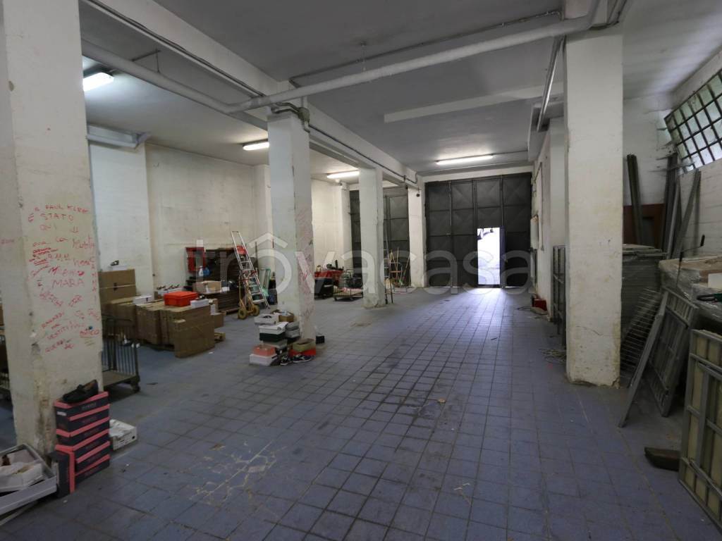 Foto15