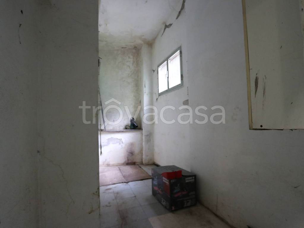 Foto16