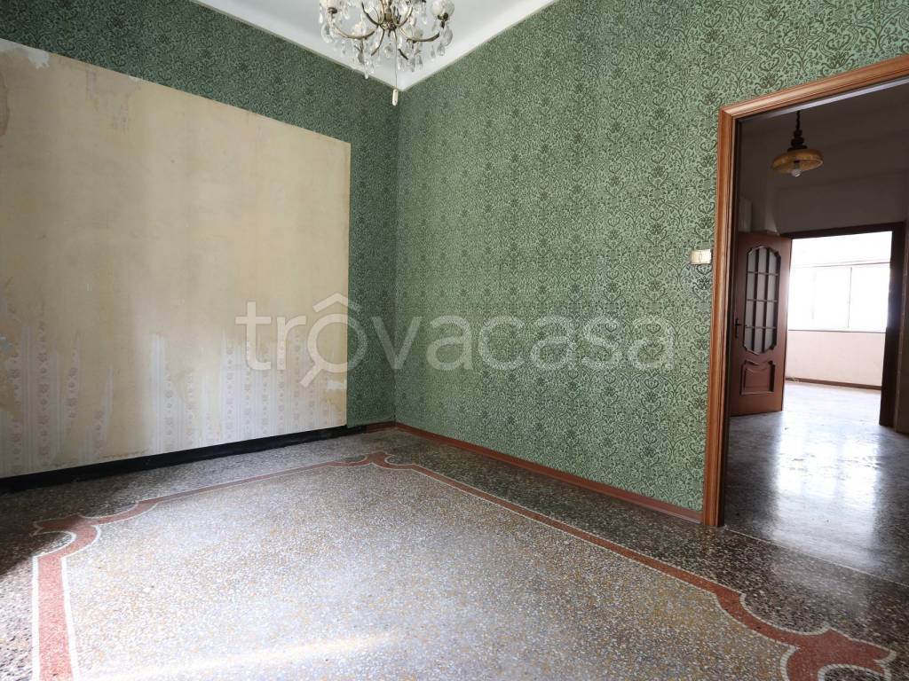 Foto16