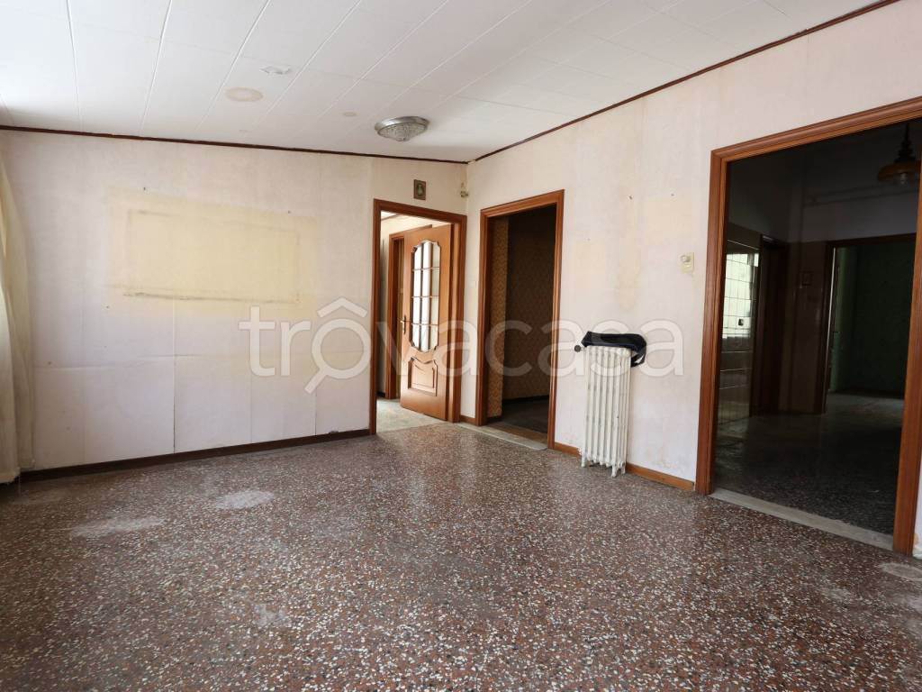 Foto4