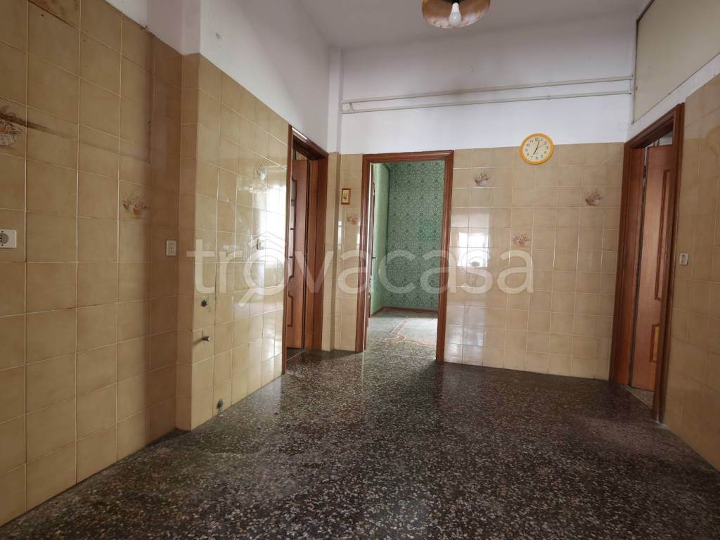 Foto5