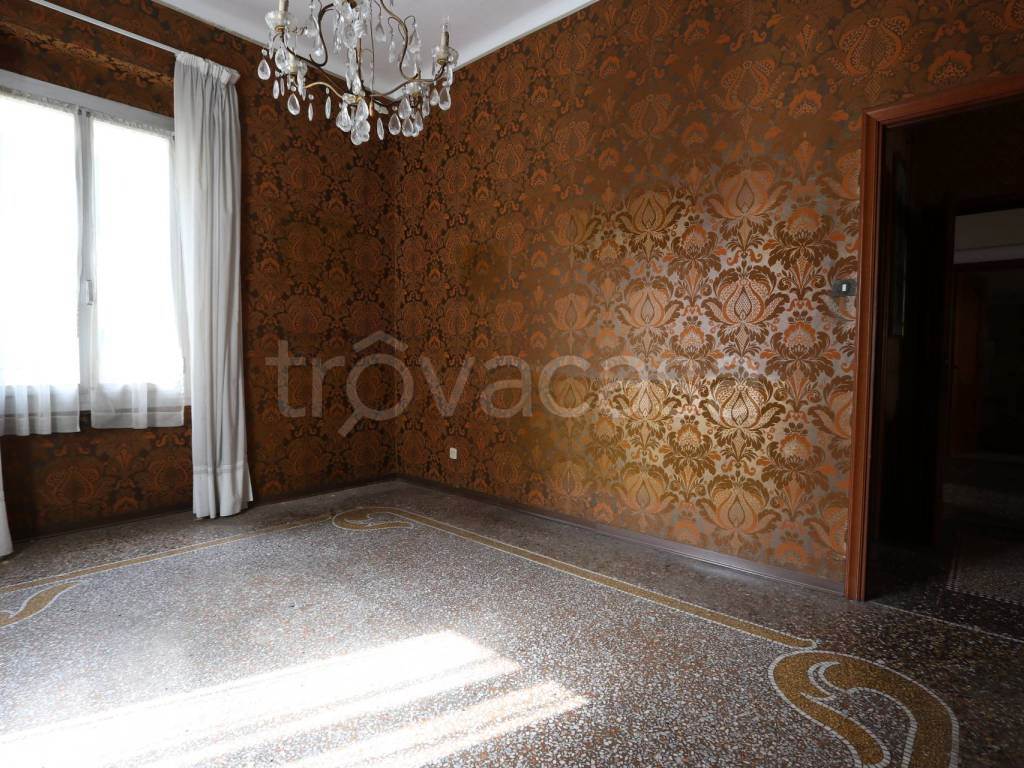 Foto6