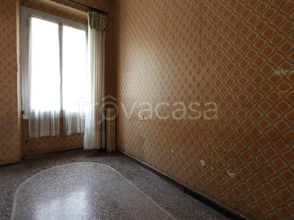Foto8