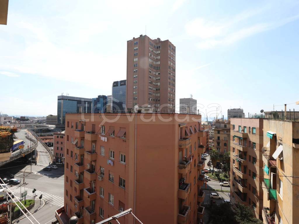 Foto20